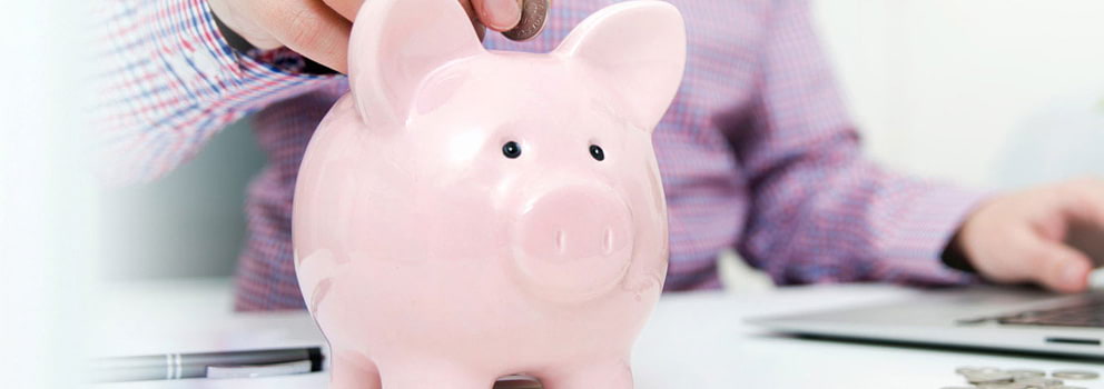 Morrisons Cove 1st FCU piggy bank savings